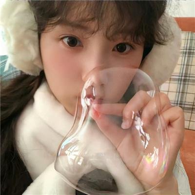 合子异种
